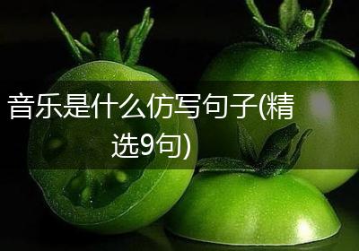音乐是什么仿写句子(精选9句)