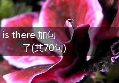 is there 加句子(共70句)