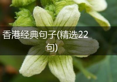 香港经典句子(精选22句)