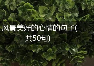 风景美好的心情的句子(共50句)
