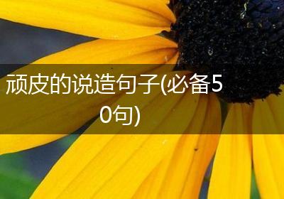 顽皮的说造句子(必备50句)