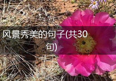 风景秀美的句子(共30句)