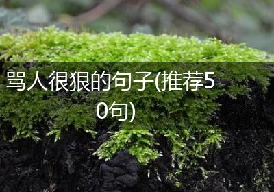 骂人很狠的句子(推荐50句)