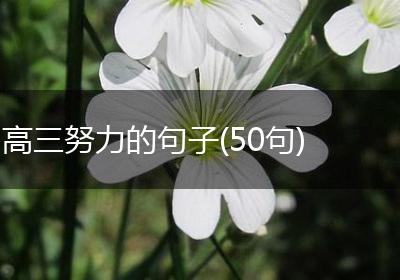 高三努力的句子(50句)
