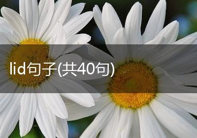 lid句子(共40句)