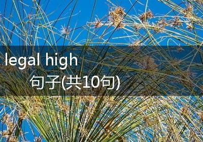 legal high 句子(共10句)