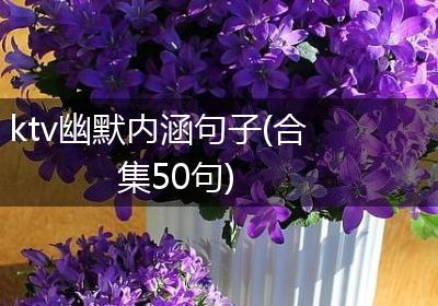 ktv幽默内涵句子(合集50句)