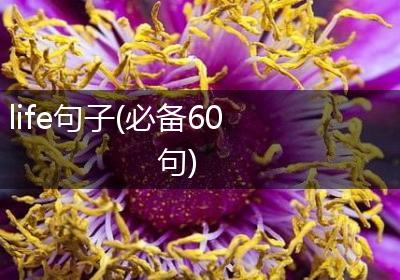 life句子(必备60句)