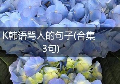 K韩语骂人的句子(合集3句)