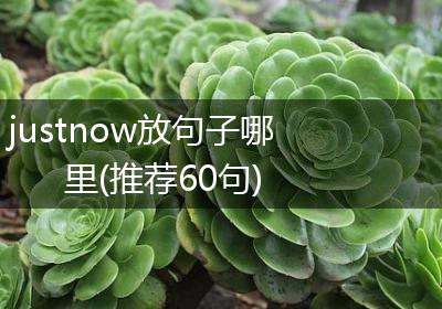 justnow放句子哪里(推荐60句)