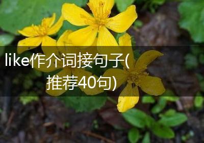 like作介词接句子(推荐40句)