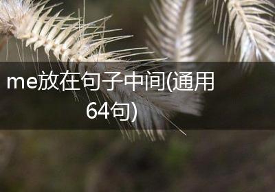 me放在句子中间(通用64句)