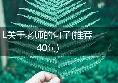 L关于老师的句子(推荐40句)