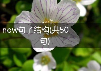 now句子结构(共50句)