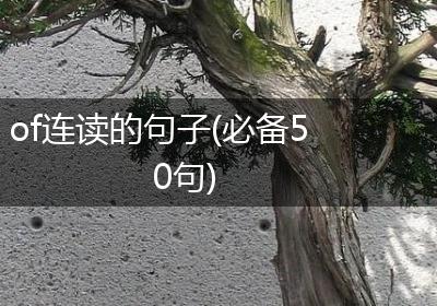 of连读的句子(必备50句)