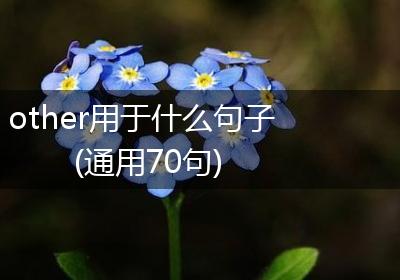 other用于什么句子(通用70句)