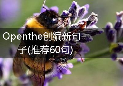 Openthe创编新句子(推荐60句)