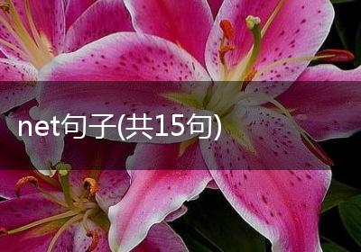 net句子(共15句)