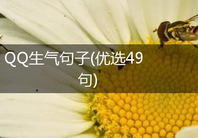 QQ生气句子(优选49句)