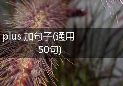 plus 加句子(通用50句)