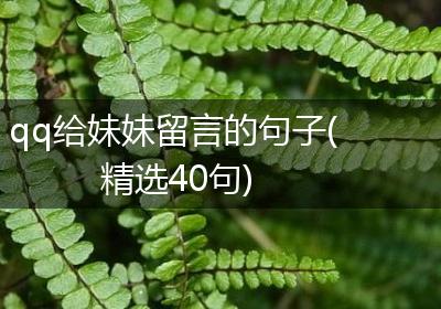 qq给妹妹留言的句子(精选40句)