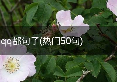qq都句子(热门50句)