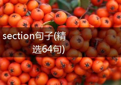 section句子(精选64句)