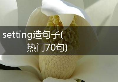 setting造句子(热门70句)