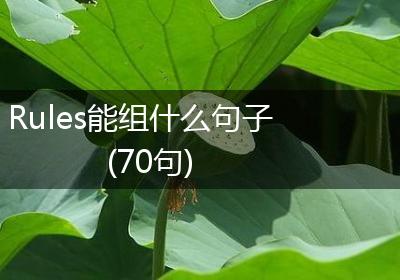 Rules能组什么句子(70句)