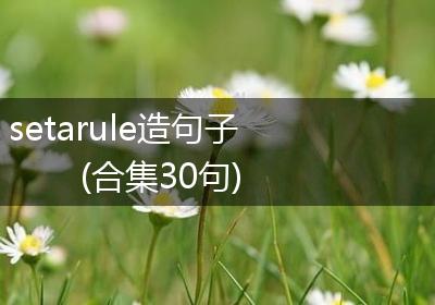 setarule造句子(合集30句)