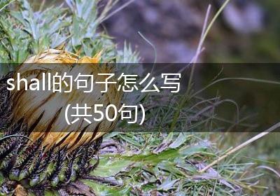 shall的句子怎么写(共50句)