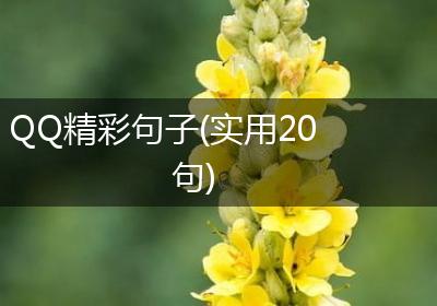 QQ精彩句子(实用20句)