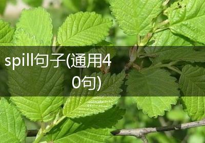 spill句子(通用40句)