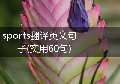 sports翻译英文句子(实用60句)