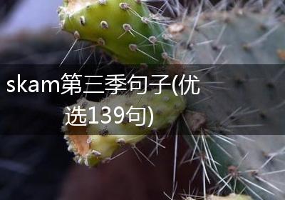 skam第三季句子(优选139句)