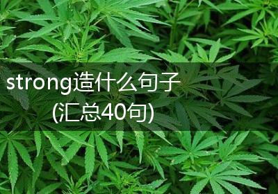 strong造什么句子(汇总40句)