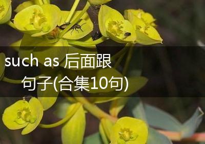 such as 后面跟句子(合集10句)
