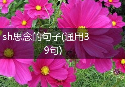 sh思念的句子(通用39句)