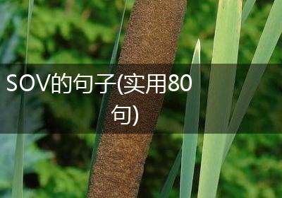 SOV的句子(实用80句)