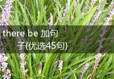 there be 加句子(优选45句)