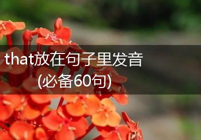 that放在句子里发音(必备60句)