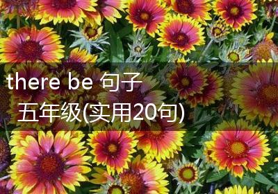 there be 句子五年级(实用20句)