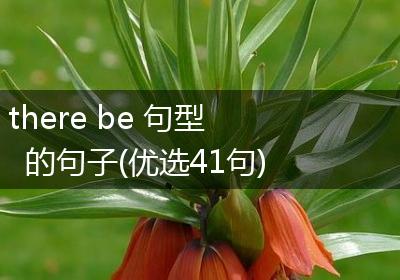 there be 句型的句子(优选41句)