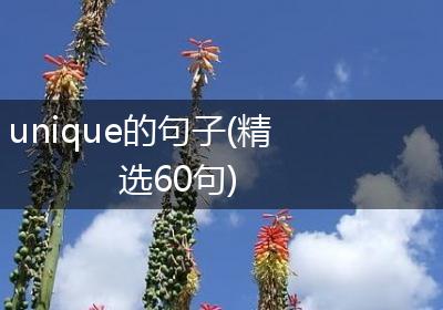 unique的句子(精选60句)