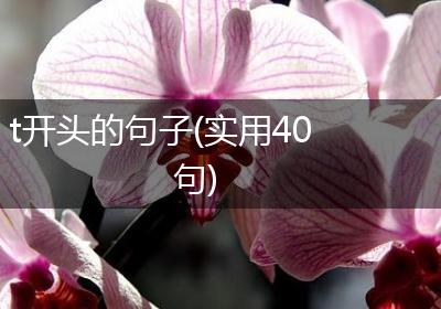 t开头的句子(实用40句)