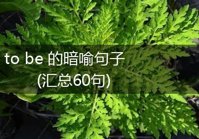 to be 的暗喻句子(汇总60句)