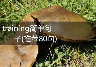training简单句子(推荐80句)