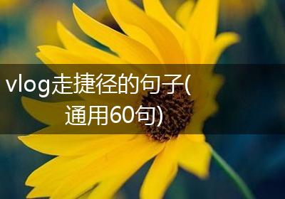 vlog走捷径的句子(通用60句)