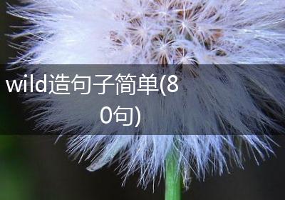 wild造句子简单(80句)