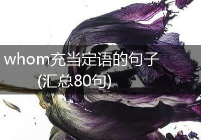 whom充当定语的句子(汇总80句)